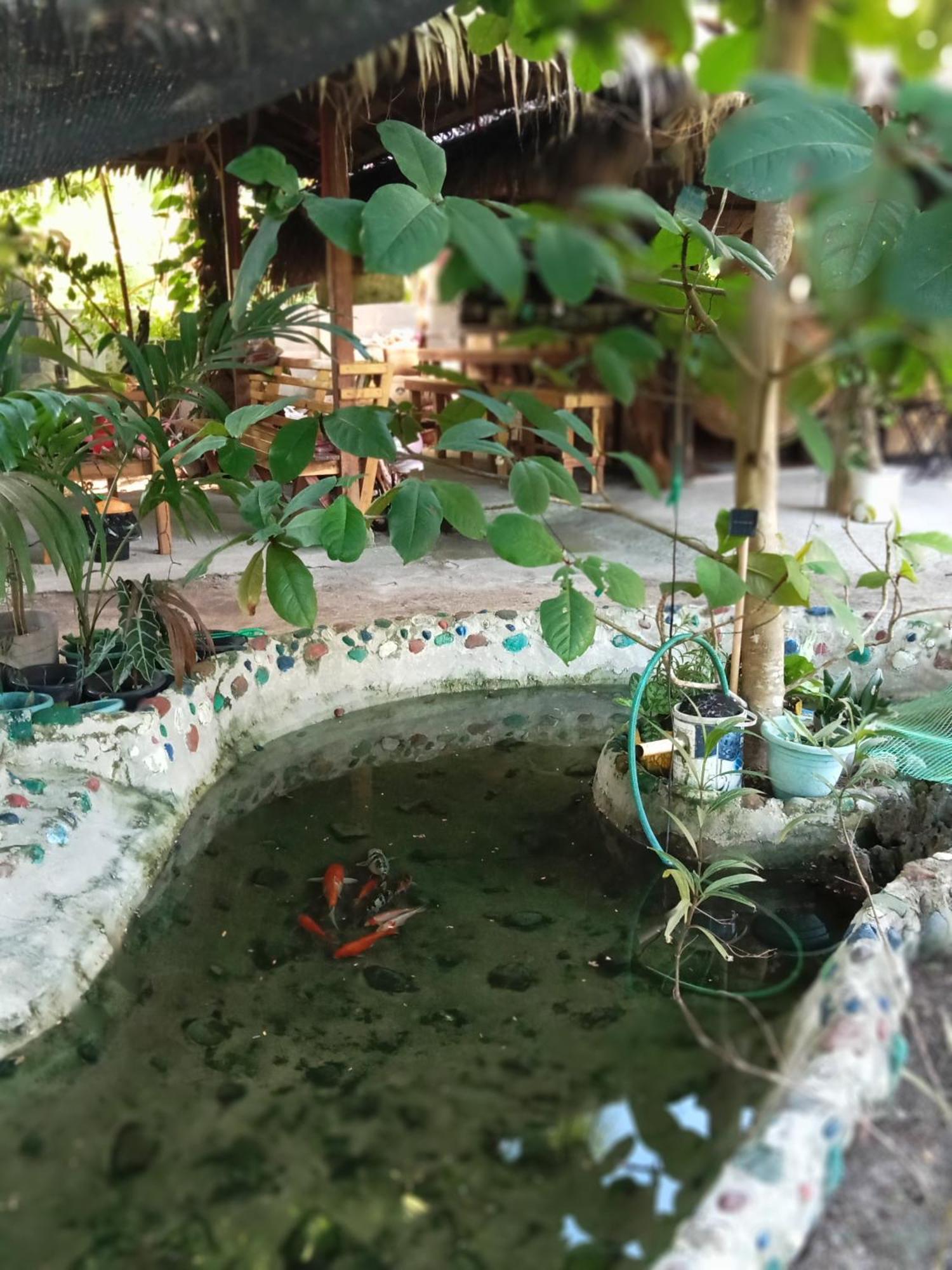 Weeroona Huts Homestay Pacifico San Isidro  外观 照片