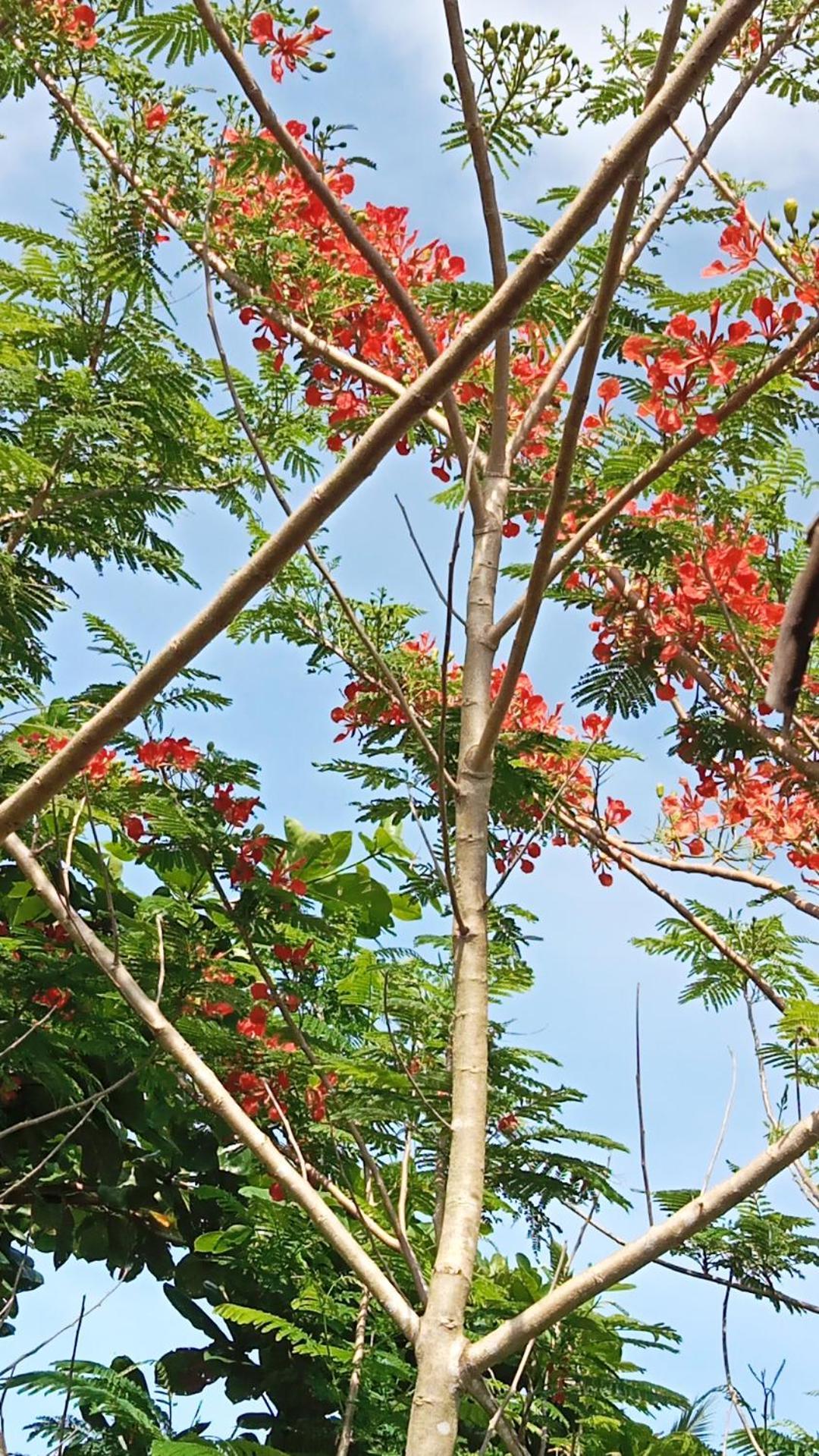 Weeroona Huts Homestay Pacifico San Isidro  外观 照片